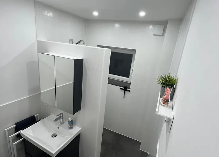 民宿 Live-in 7 卡尔斯鲁厄