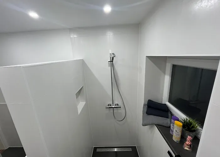 Live-in 7 卡尔斯鲁厄