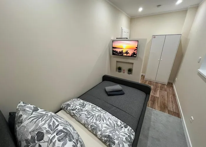 民宿 Live-in 7 卡尔斯鲁厄